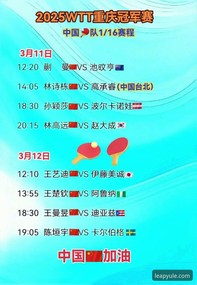 3个关键点，带你看懂WTT重庆赛的青春风暴与观赛体验