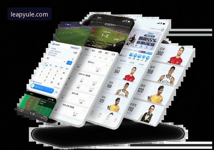 乐鱼体育平台核心功能详解