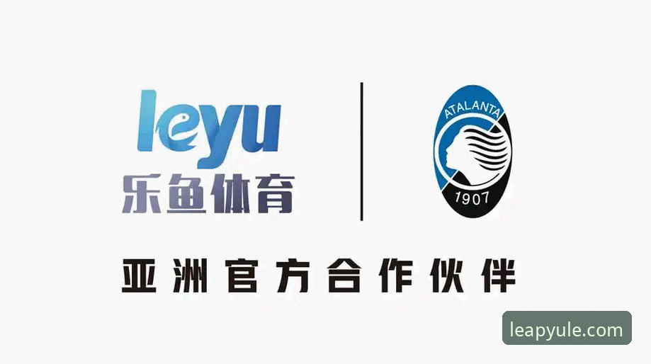 乐鱼体育平台入口的5个关键考量：从安装到流畅运行的完整指南