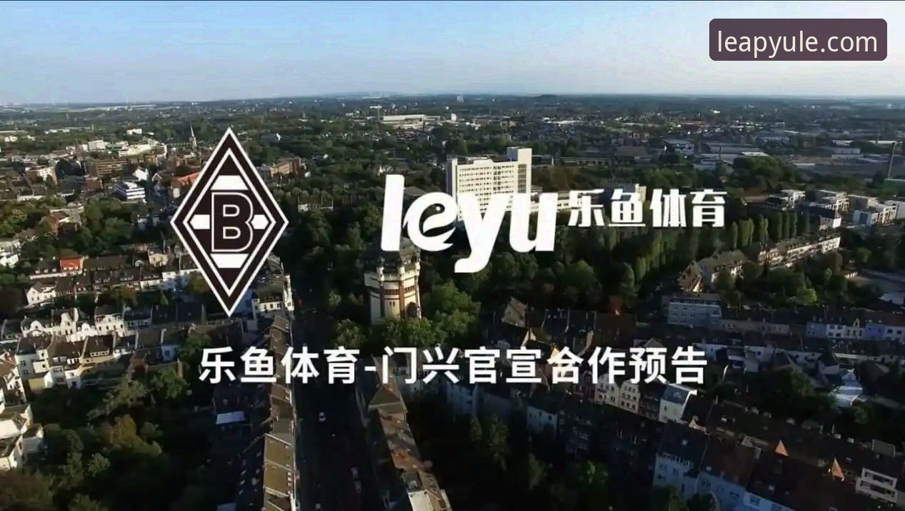 乐鱼体育平台深度分析：从下载到体验，老用户全面解析使用心得